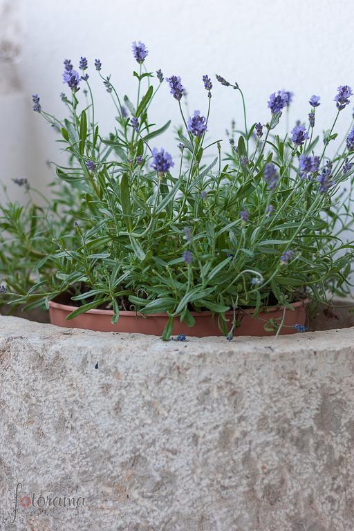 Holiday Home Marija Dramalj Δωμάτιο φωτογραφία